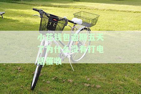 小花钱包逾期一天就联系亲朋，很讨厌！逾期5点前还不进去会催收，会骚扰家人朋友多久？