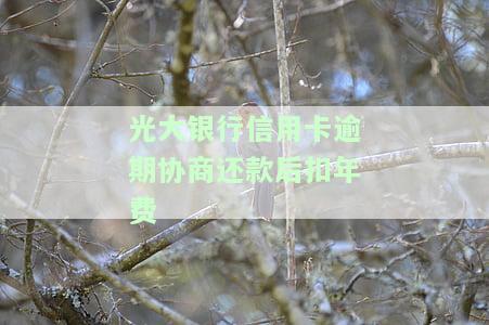 光大银行信用卡逾期协商还款后扣年费