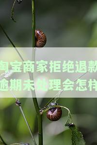 淘宝商家拒绝退款后怎么办，重新申请退款，是否会处罚卖家？