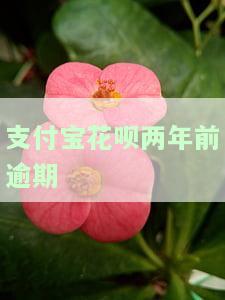 支付宝花呗逾期两年后会怎么样，能恢复吗？