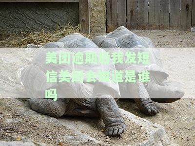 美团逾期15天会起诉我吗，会给紧急联系人发短信吗？