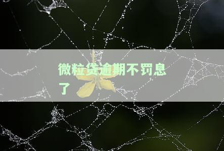 微粒贷逾期后免除利息罚息及减免情况