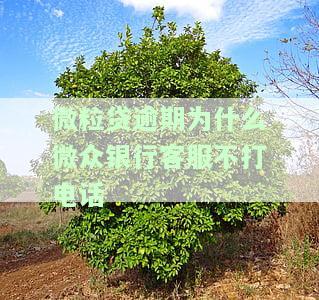 微粒贷逾期为什么微众银行客服不打电话了，微粒贷欠款逾期后微众银行发来短信，微粒贷第三方暴力催收