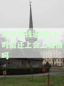 美团借钱逾期2天还款后还可以借出来吗？安全吗？