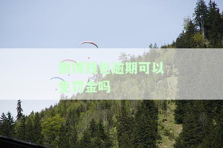 微博钱包逾期可以免罚金吗安全吗？