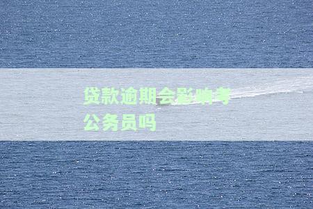 贷款逾期会影响考公务员吗