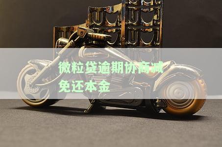 微粒贷逾期欠款提供减免材料真实有效