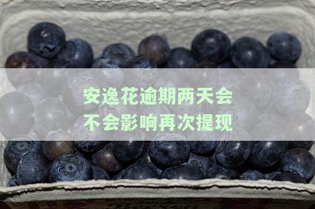 安逸花逾期一天后果及如何解决