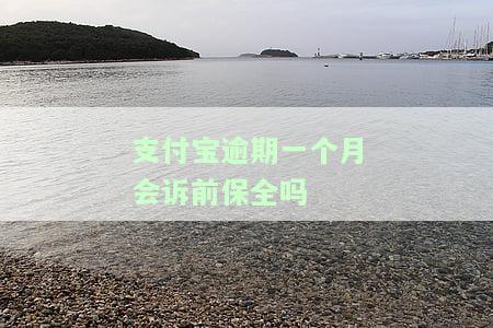 支付宝逾期一个多月说追究我的责任是刑事还是民事责任，会起诉吗？