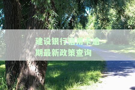 建设银行信用卡逾期最新政策查询官网