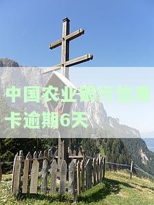 农行信用卡5000逾期6个多月如何处理
