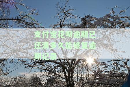 支付宝花呗逾期已还清多久能修复逾期记录