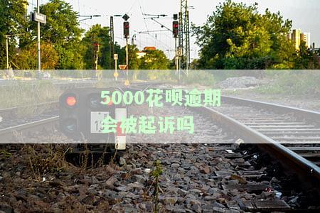 花呗逾期五千有还款记录会被起诉吗？怎么办？会坐牢吗？