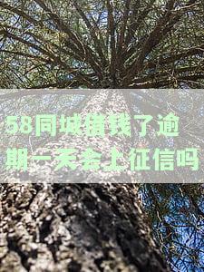借钱逾期一天会上征信吗有影响吗，安全吗还能再用吗？