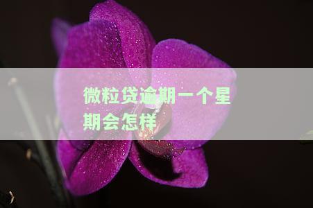 微粒贷逾期一个星期会怎样催收及后果？