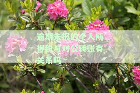 个人所得税逾期申报影响公司征信吗？如何处理？