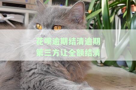 花呗逾期结清逾期第三方让全额结清是真的吗？