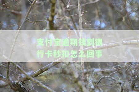 支付宝逾期钱到银行卡秒扣怎么回事儿，银行卡里有钱会不会自动扣款？