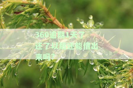 360借钱逾期一天还了以后还能借钱吗？安全吗？