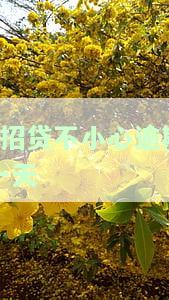 e招贷逾期一天上征信吗有影响吗？