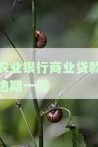 农业银行商业贷款逾期一天后果及补救措