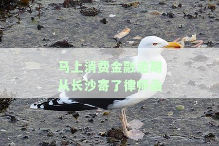 费金融逾期律师函寄到家会起诉吗？安全吗？