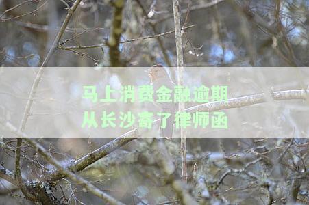 费金融逾期从长沙寄了律师函