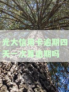 光大银行逾期四天还款对信用有影响吗？如何解决逾期问题？