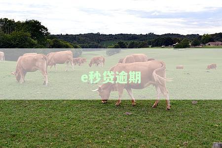 e秒贷逾期一天会上征信，额度受影响，还款有何影响，逾期怎么办？