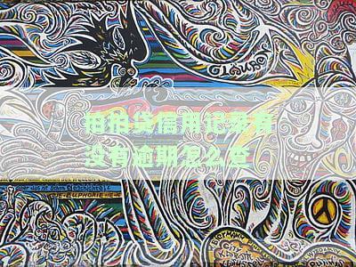 拍拍贷怎么查征信报告记录查询？