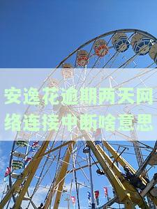 安逸花逾期两天网络连接中断啥意思