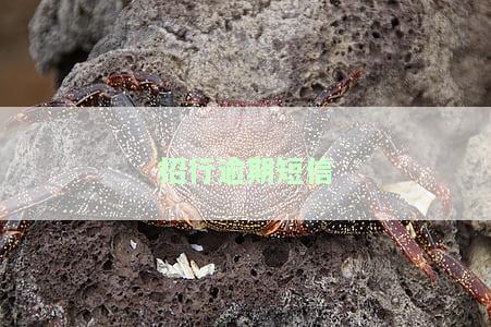 招商银行短信说信用卡逾期解决方法