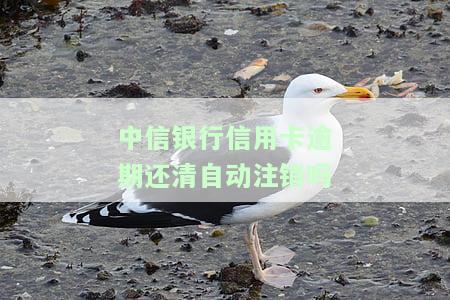 中信银行信用卡逾期还清自动注销吗