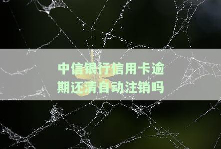 中信银行信用卡逾期还清自动注销吗