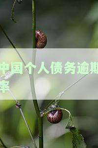 中国个人债务逾期率