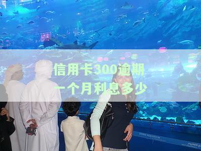 信用卡300逾期一个月利息合适