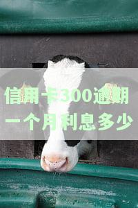 信用卡300逾期一个月利息多少