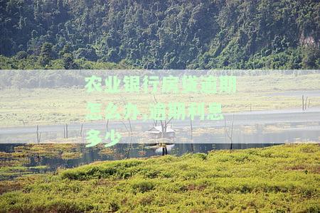 农行房贷逾期利息如何计算方法