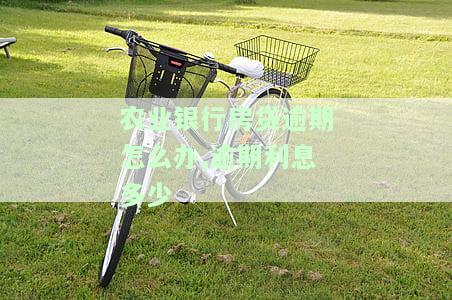 中国农业银行房贷逾期了，一般是多久在扣款，逾期多久会上征信？如何补救逾期利息多少？