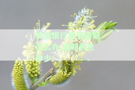 农业银行房贷逾期怎么办,逾期利息多少