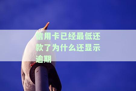信用卡已经最低还款了为什么还显示逾期呢，金额仍未减少？