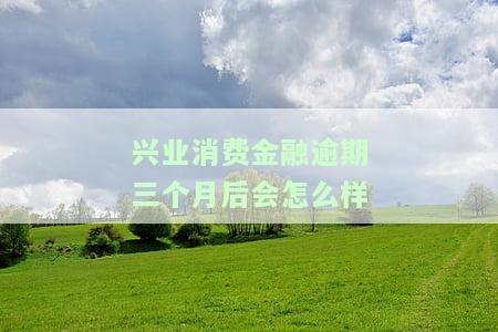 兴业消费金融逾期三个月后会怎么样吗？