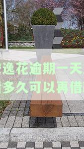 安逸花逾期一天后果及继续借款情况，有奖问答