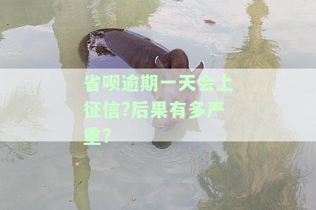 省呗逾期一天会有什么后果,有奖问答，征信严重吗？