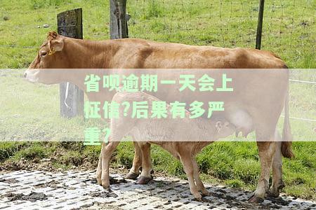 省呗逾期一天说走流程,以后都不打扰了，后果严重，会上征信