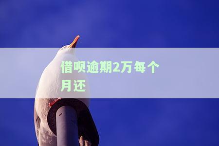 借呗逾期2万要还多少？