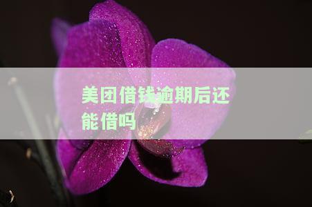 美团借钱逾期后全部还了，为什么在借就借不出了？怎么办？