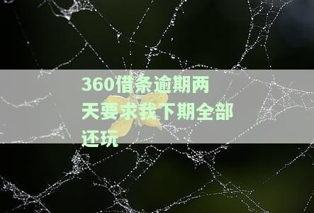 逾期两天要求我下期全部还玩