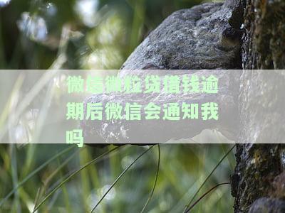 微信微粒贷借钱逾期后微信会通知我吗怎么办，逾期对微信功能的影响，微粒贷逾期后微信钱包是否可用？