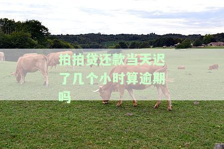 拍拍贷还款晚一天会上征信吗？